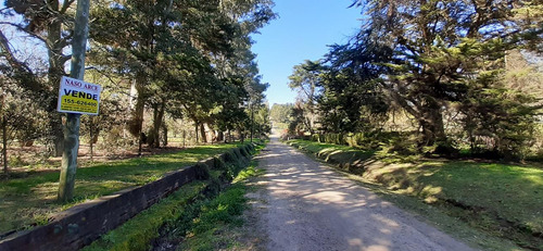 Fraccion De 8.1000 M² Parquizada Y Forestada