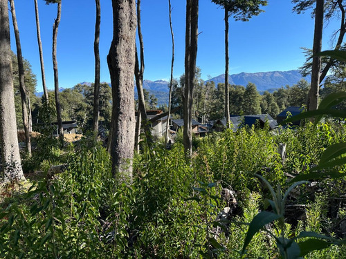 Lote Con Suave Pendiente Con Vista Al Lago Nahuel Huapi, Villa La Angostura