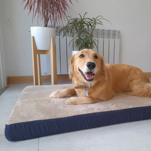 Cama Colchoneta Para Perros Lola Pets Modelo Alaska Grande