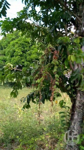 Chácara À Venda 8,87 Hectare - Ch0012