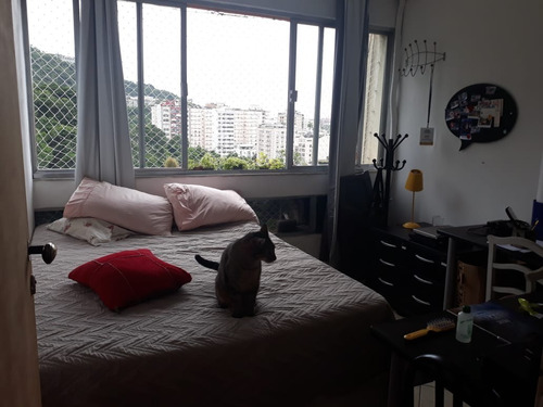 Imagem 9 de 20 de Cobertura À Venda, 2 Quartos, 1 Vaga, Laranjeiras - Rio De Janeiro/rj - 730
