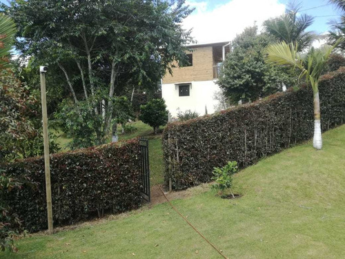 Imagen 8 de 13 de Finca En San Vicente 6.400 Mts 650 Millones