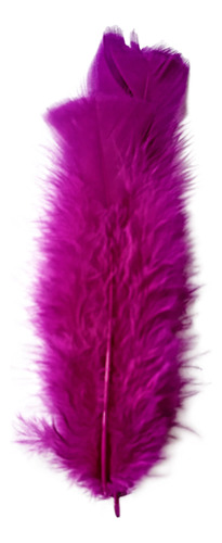 Pacote De Penas Coloridas 60 Unidades  - Violeta 