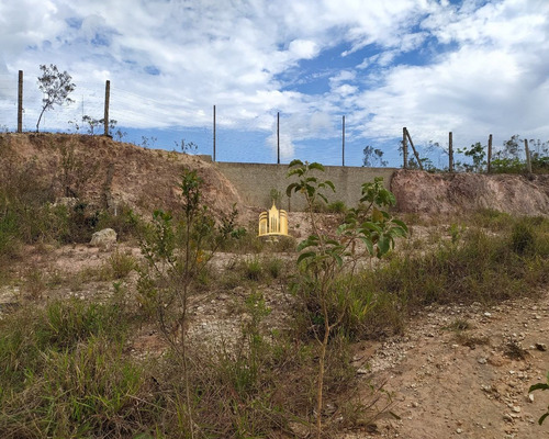 Imagem 6 de 10 de Lote No Bairro Parque Novo Ceasa - Esmeraldas - Te00336 - 68908874