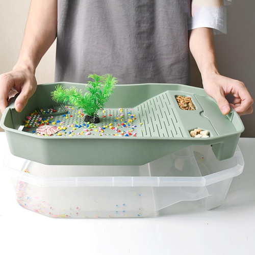 Hábitat De Reptiles, Tanques For Tortugas, Cangrejos