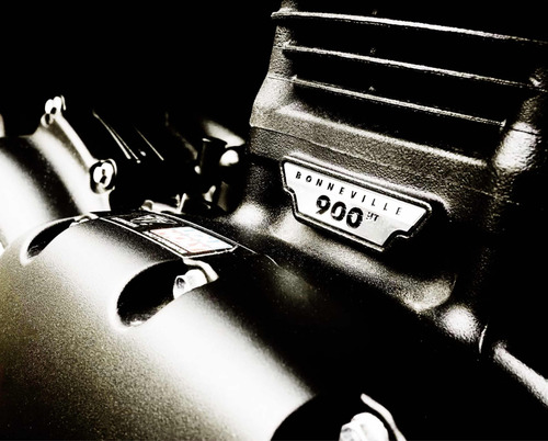 Triumph Bonneville T-100 -black Edition-