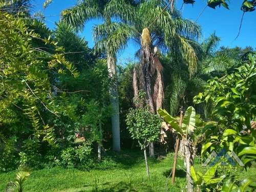 Chácara Com 1 Dormitório À Venda, 8700 M² Por R$ 220.000,00 - Água Do Pari - Jataizinho/pr - Ch0052