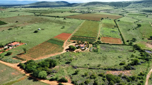 Oportunidade Única! Sítio De 12 Hectares Porteira Fechada -
