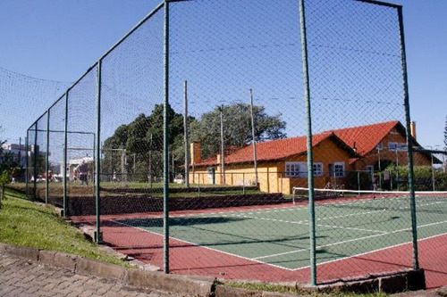 Imagem 9 de 30 de Terreno - Te00024 - 69351236