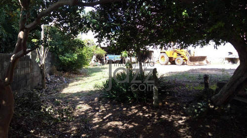 Imagem 26 de 28 de Terreno No Centro Para Empreendimento. - Te1200