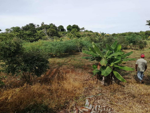 Vendo Finca De 20 Tarea En Atodama 