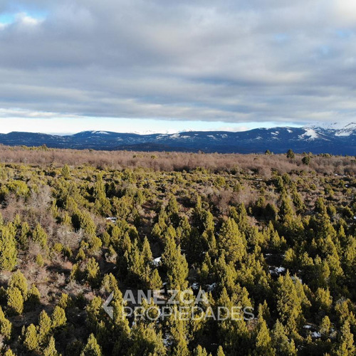 Campo De 8 Hectáreas - Costa Lago Lezama - Cholila