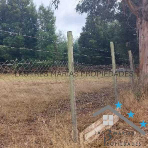 Venta Lotes Con Rol O Total De 15.500 M2 (91990)