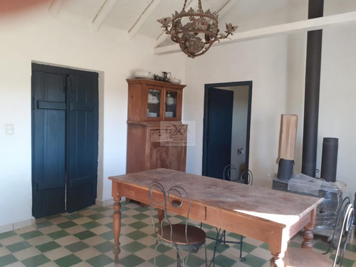 Alquiler Chacra Jose Ignacio