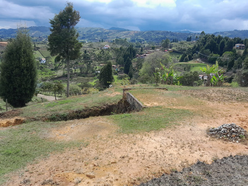 Venta De Lote Guarne Vereda Hojas Anchas 