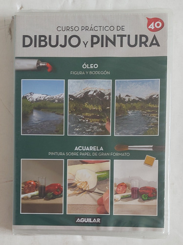 Dvd - Curso Práctico De Dibujo Y Pintura - Aguilar 33 Dvds (Usado)