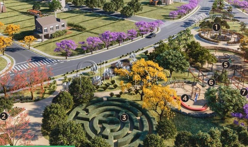 Imagem 10 de 11 de Terreno À Venda Em Região Do Alphaville - Te029500