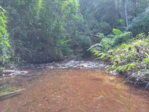 Imagem 2 de 30 de Excelente Terreno Á Venda De 16.500m2 Em Condomínio Rural Clube Juca Vieira C/ Área De 16.500 M², C/ Córrego De Água Cristalina Nos Fundos! - Oci0101 - 69485109