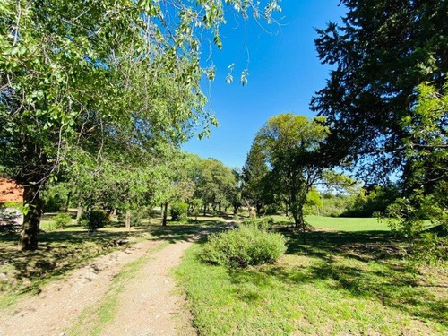 Imagen 6 de 16 de Venta 19 Hectareas 4313 M2 Sobre Ruta N5 En Villa General Belgrano - Inv0072