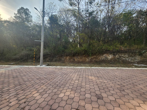 Venta Lote Gladiola 32 En Calle Privada De Nueva Zona De Fracc Rancho San Diego Ixtapan De La Sal Edomex Con Todos Los Servicios Y Vistas Panorámicas.