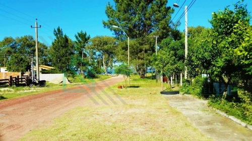 Imagen 3 de 12 de Nueva Palmira - Linda Casa Bien Ubicada