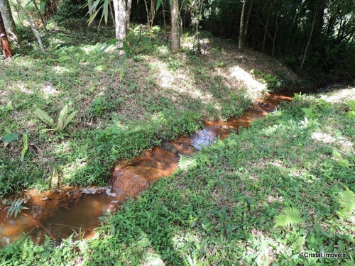 Imagem 19 de 22 de Rural Para Venda, 4 Dormitórios, Freitas - São José Dos Campos - 24183
