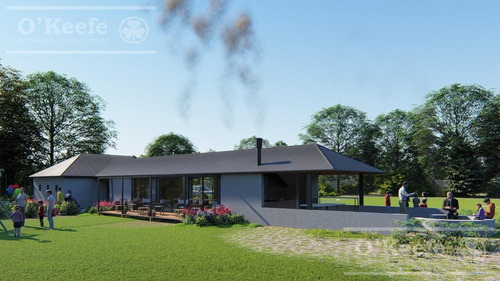 Imagen 7 de 14 de Excelente Lote En San Juan Chico Guillermo Hudson - Entrega Inmediata