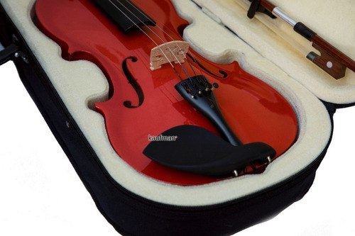 Imagen 1 de 5 de Violín 4/4 Acústico De Madera Real Con Estuche, Arco Y Brea