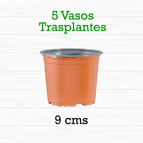 Imagen 3 de 3 de Sustrato Suculentas + 5 Vasos Trasplantes