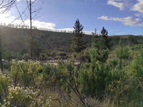 Imagen 4 de 4 de Oportunidad De Parcela A 40 Minutos De Playa Bucalemu ¡¡¡