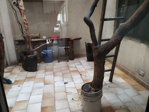 Imagen 9 de 30 de Vendo Apartamento Para Actualizar Laureles Las Acacias Piso:1