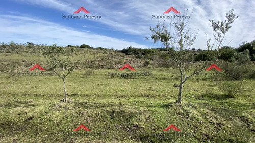 Oportunidad En Paraje Las Cañas !!!