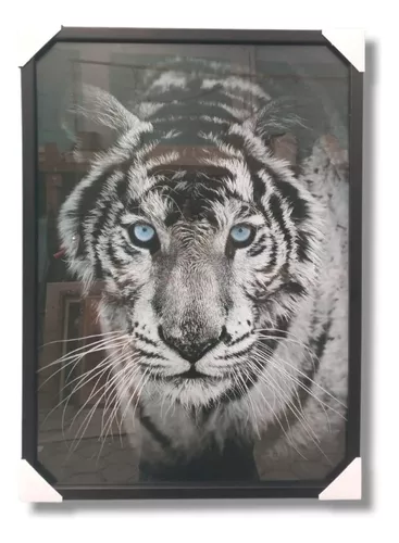 Quadro Tigre Energia Lindo 3D para sala quarto Painel tela grande