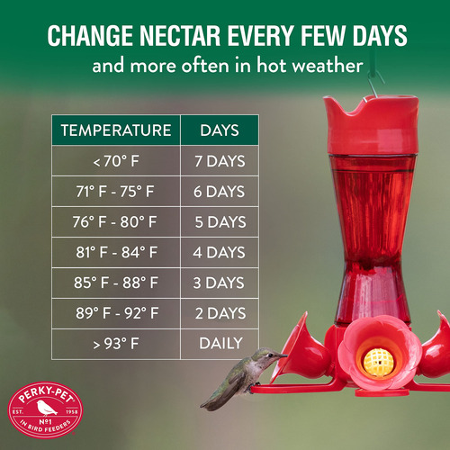 Néctar Para Colibrí 1 Unidad 946 Ml Color Rojo
