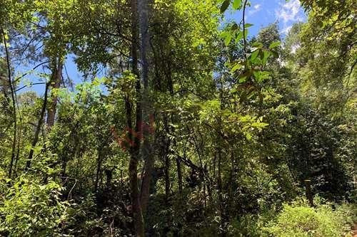 Imagen 19 de 22 de Venta De Terreno En Valle De Bravo Con Desarrollo De Rancho