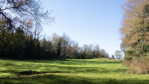 Sitio En Venta En Panguipulli