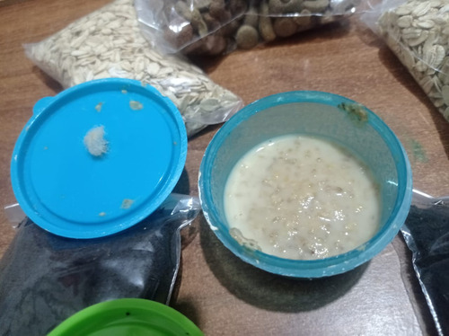 Cepa De Gusano Grindal Y Microgusano De Avena (Usado)