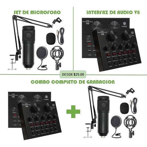 Set De Micrófono Bm800 Condensa Interfaz Brazo Antipop Araña