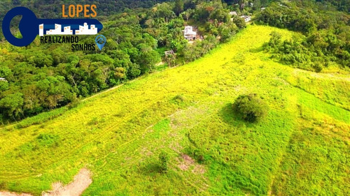 Imagem 8 de 26 de 17o Terrenos Bem Localizados