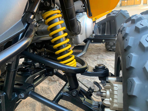 Can-am Ds 250