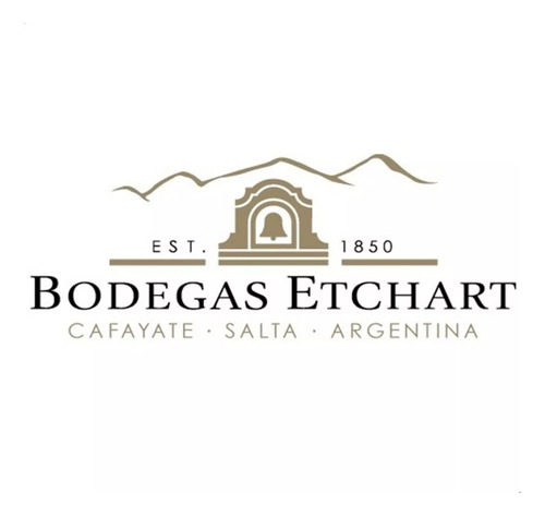 Vino Etchart Cafayate Salta Reserva Caberne Sauvignon Lemirk