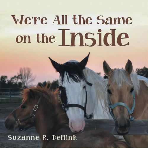 We're All The Same On The Inside, De Demink, Suzanne R.. Editorial Balboa Pr, Tapa Blanda En Inglés