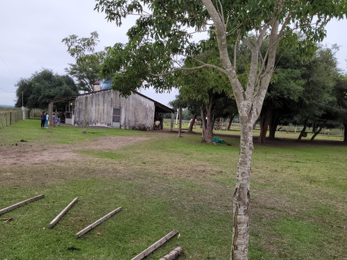 Campo 451 Hectáreas Ganaderas Sauce Corrientes