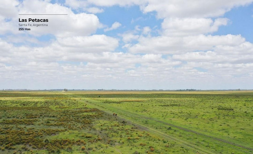 Campo De 255 Hectáreas En Las Petacas, Santa Fe
