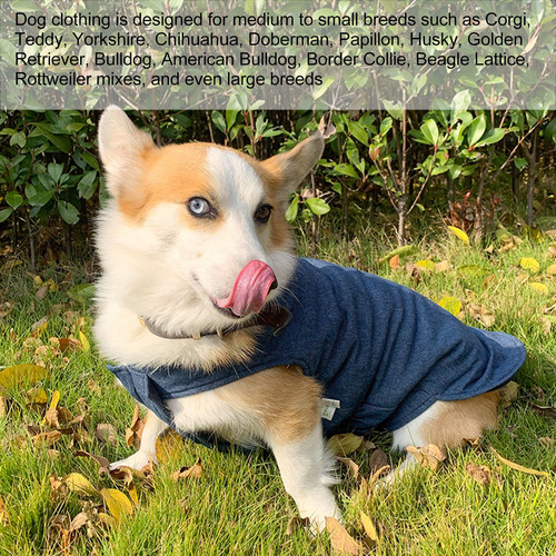 Ropa Para Mascotas: Chaqueta Clásica, Cálida, Cómoda Y Holga