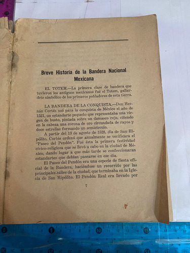 Manual De La Bandera (Usado)