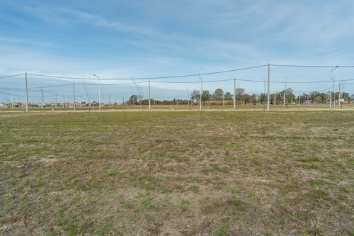 Imagen 6 de 11 de Venta Lote Estacion Alvear Ii