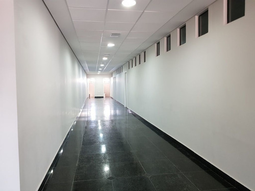 Imagem 8 de 15 de Prédios Comerciais Para Locação No Bairro Vila Miriam Em Guarulhos - Cod: Ai23407 - Ai23407