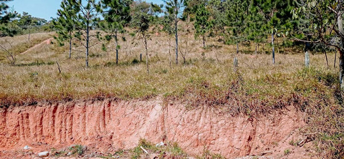 Imagem 4 de 14 de Terreno A Venda 1.209 M² Em Atibaia Doc. Ok Ac/veículos