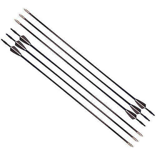 Flechas Principiantes De Arquería (flechas De Fibra De...